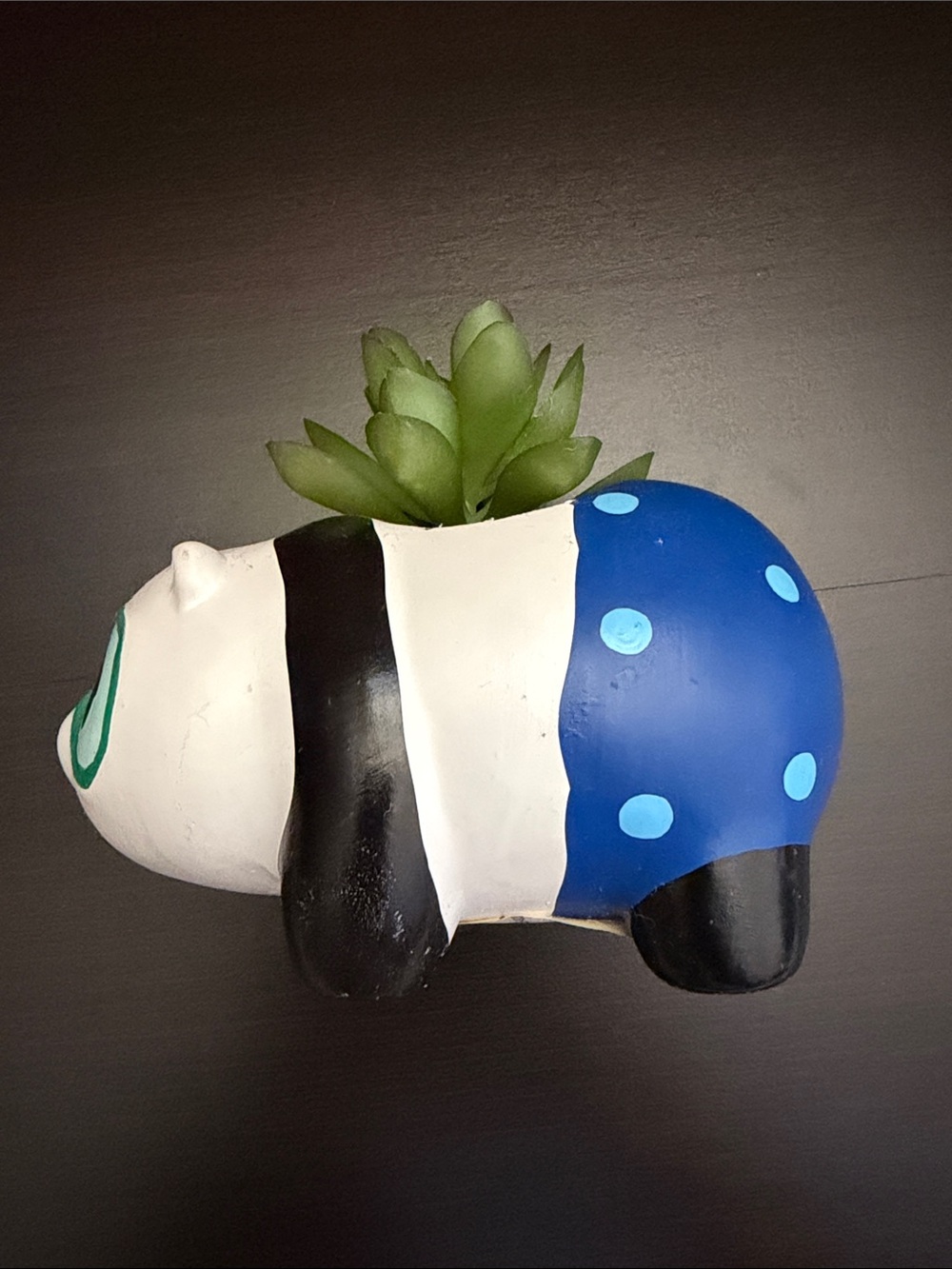 Succulent Decor - Picture 6 of 7